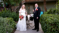 Jessica & Matt's Wedding - Hotel Valley Ho